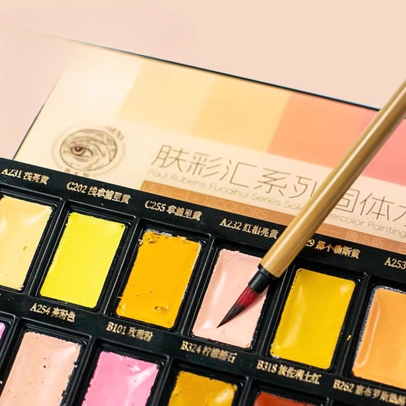 Ensemble de pigments d'aquarel - Watercolor Paint Set Solid Pigment avis et prix